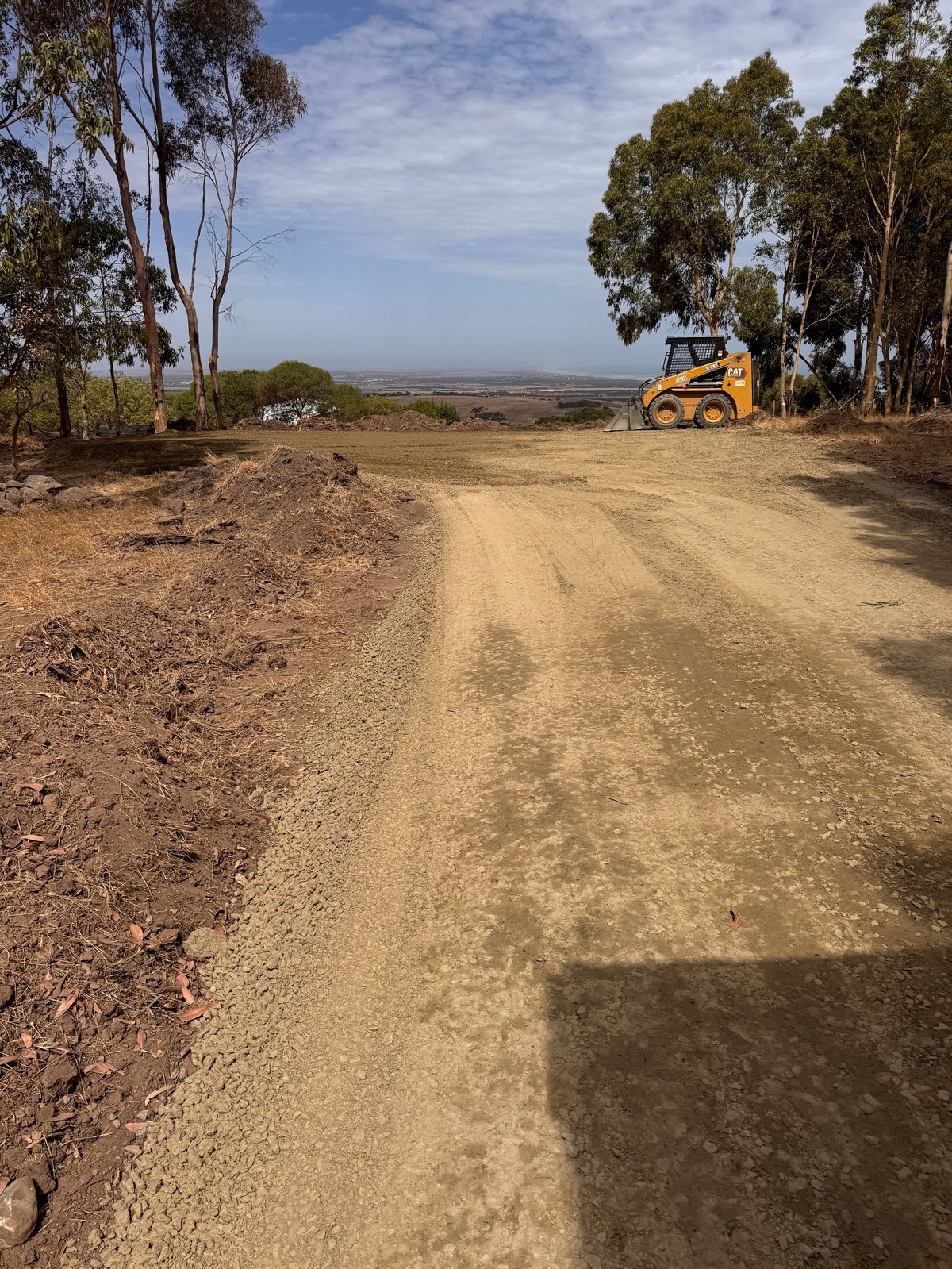 Yellow skid steer loader on unpaved dirt road lined with eucalyptus trees and rural landscape