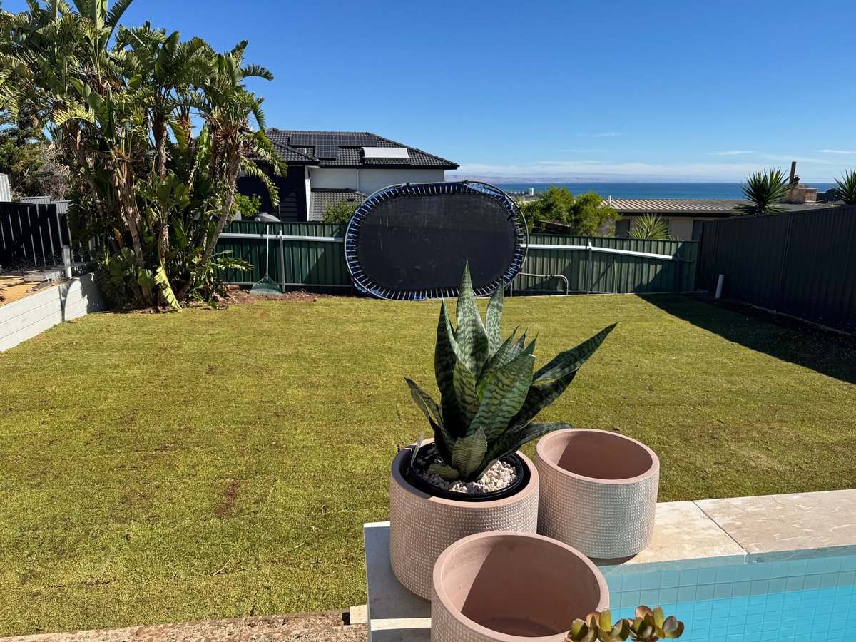 Modern backyard with succulent plants in terracotta pots, trampoline, and ocean view on a sunny day