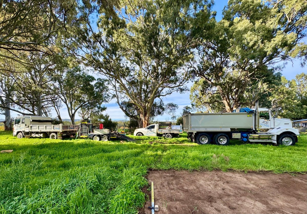 Line of commercial trucks parked in grassy lot with mature trees and blue sky
